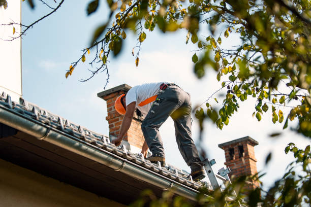 Professional Roofing Contractor in Fort Collins, CO